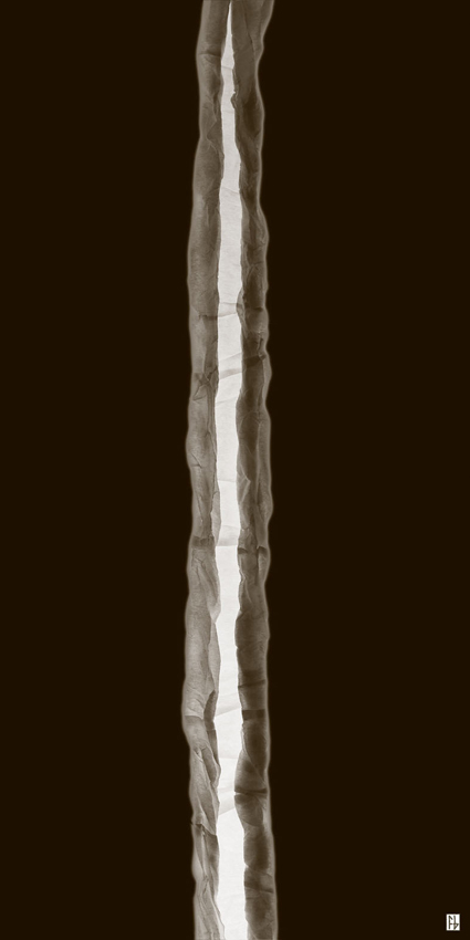 structure feuille de soie-1