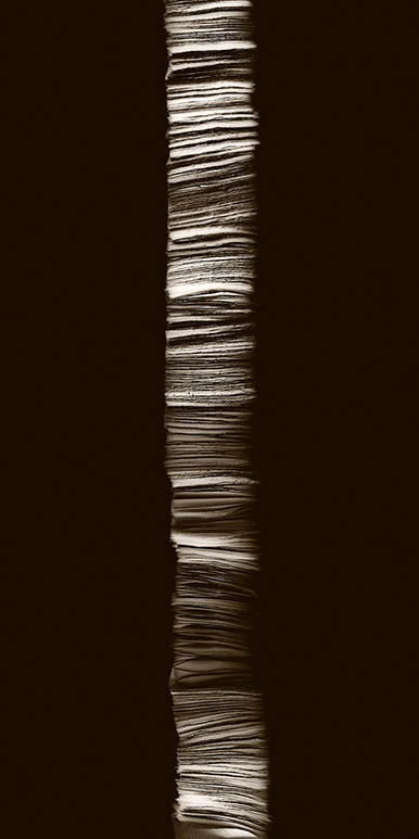 structure feuille de soie-11