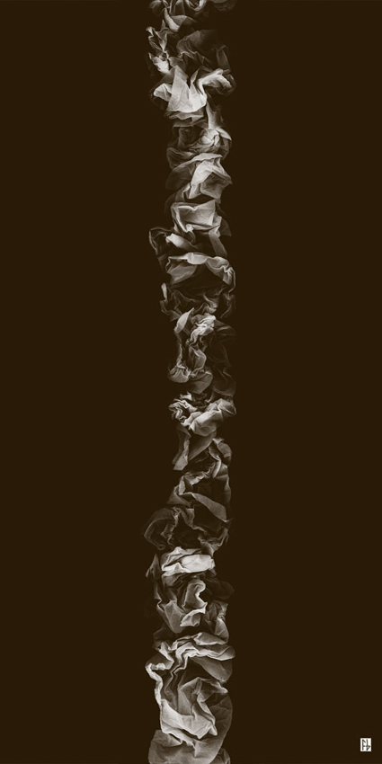 structure feuille de soie-3