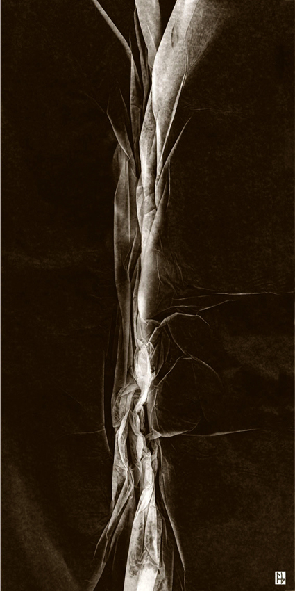 structure feuille de soie-4