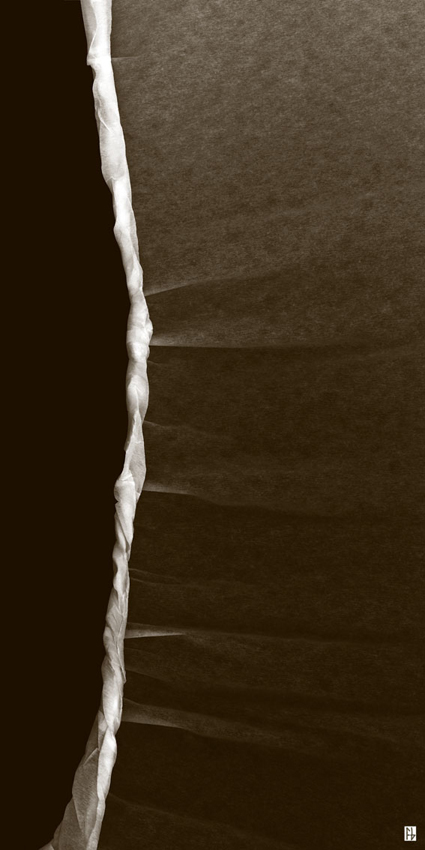 structure feuille de soie-5
