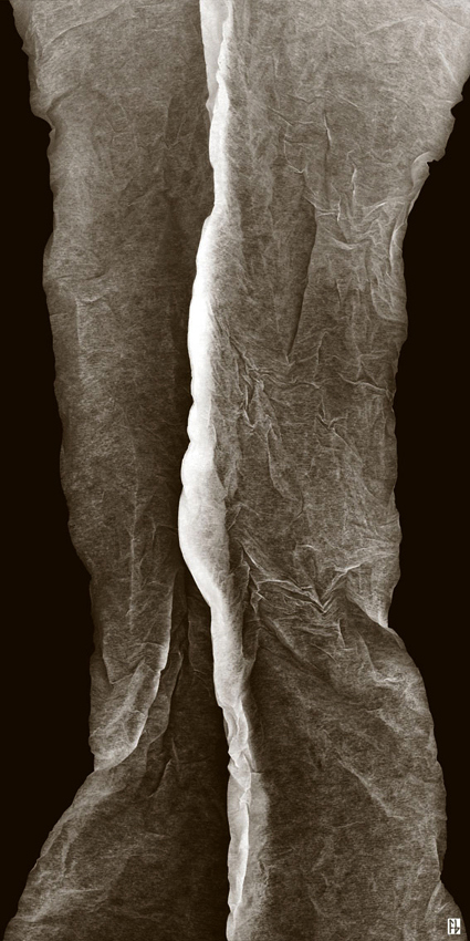 structure feuille de soie-7