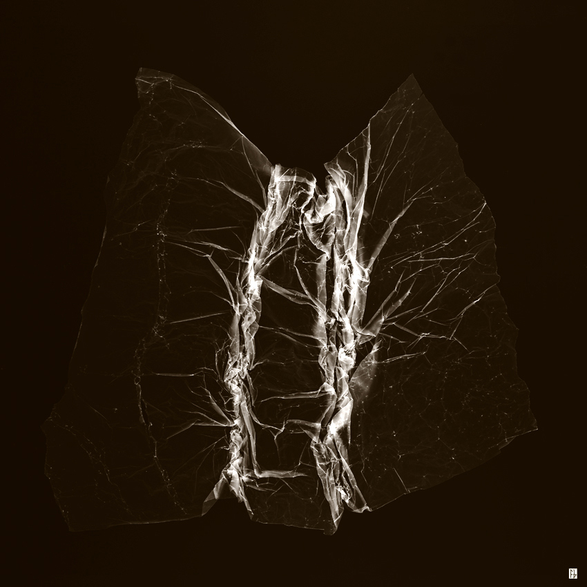 structure feuille de soie-8