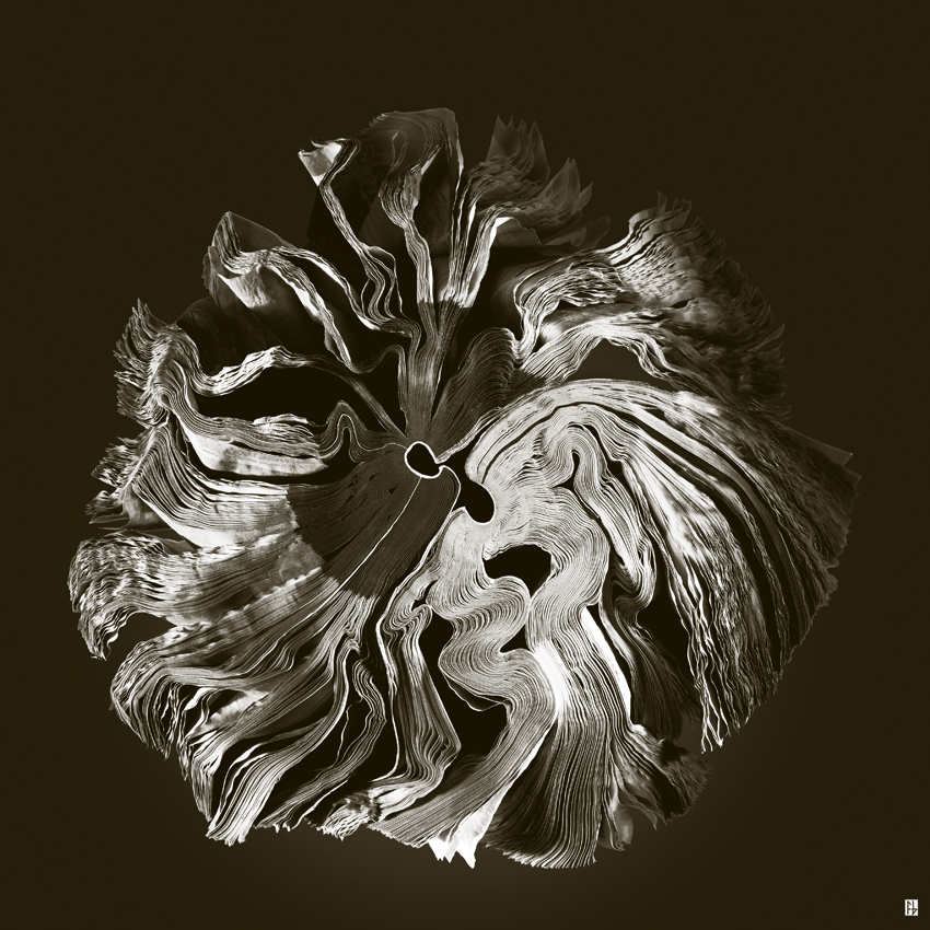 bottin fleur