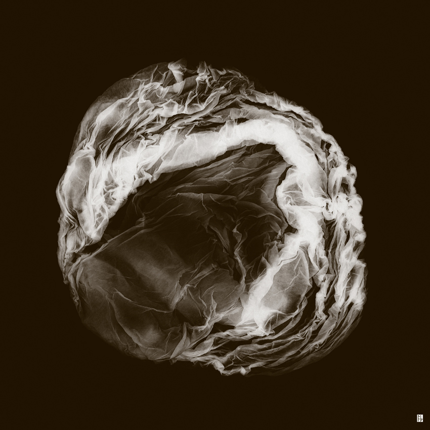 structure feuille de soie-10