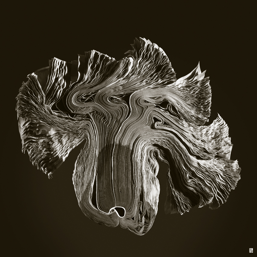 bottin brocoli